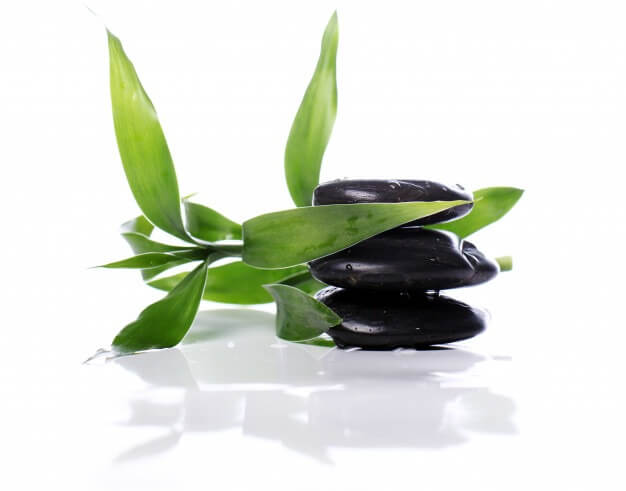 imgi_5_spa